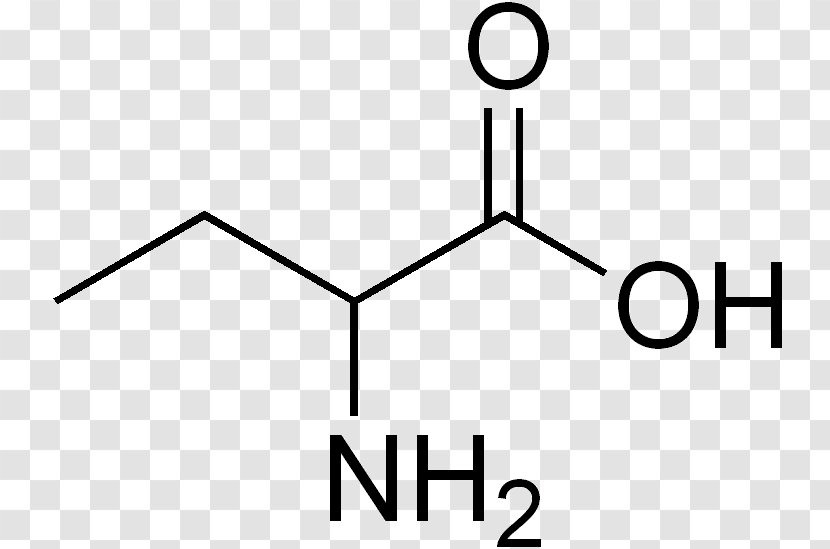 Amino Acid Cyclohexanecarboxylic Alpha-Aminobutyric - Amine - Number 5 Transparent PNG