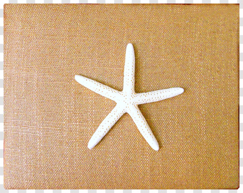 Starfish Wood /m/083vt - Book Transparent PNG