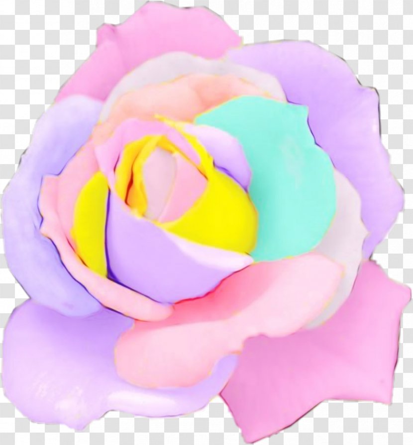 Watercolor Pink Flowers - Flower - Rose Order Plant Transparent PNG