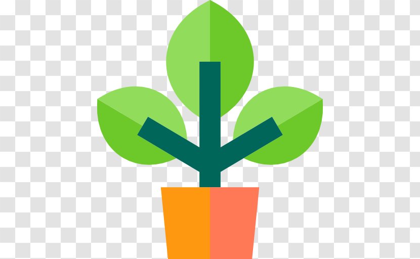 Plant Botany Flower - Green Transparent PNG