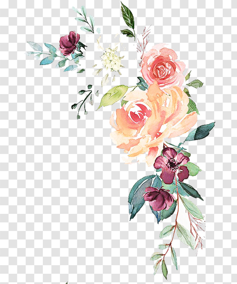 Garden Roses Transparent PNG