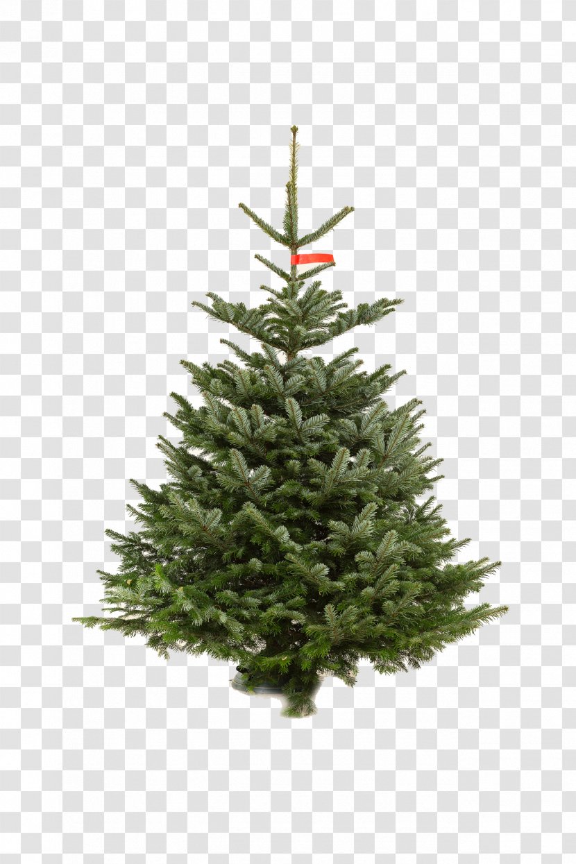 Artificial Christmas Tree Pre-lit Lights - Bluish Transparent PNG