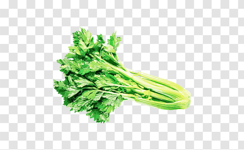 Vegetable Leaf Vegetable Food Plant Celery Transparent PNG