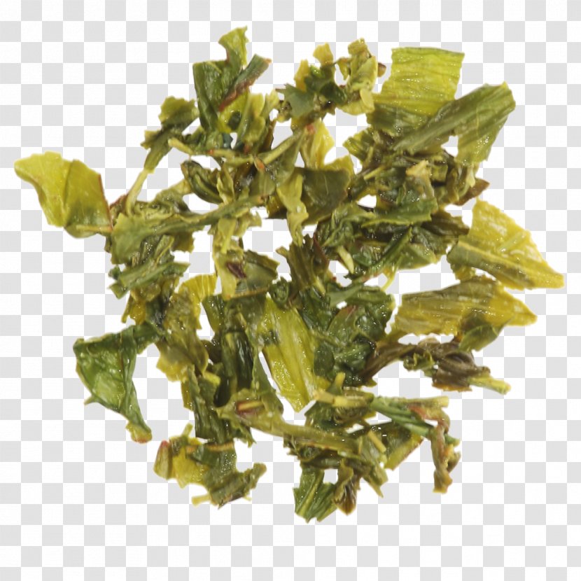 Tieguanyin Spinach Spring Greens Leaf Vegetable Transparent PNG