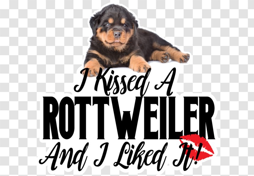 Rottweiler Dog Breed Puppy Kitten Snout - Infant Transparent PNG