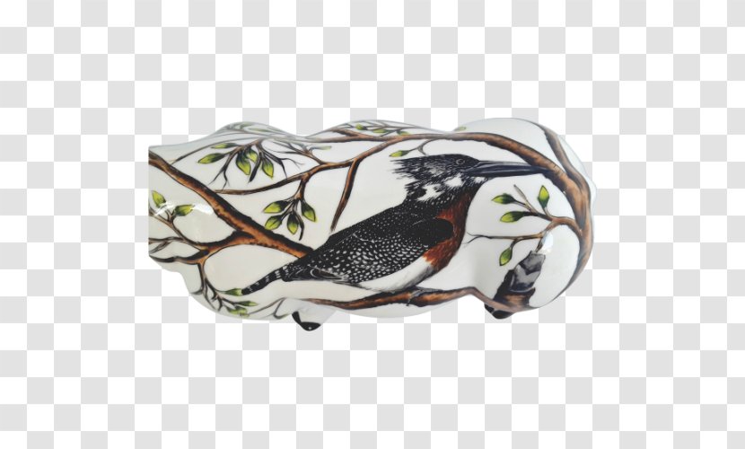 Beak Shoe Transparent PNG