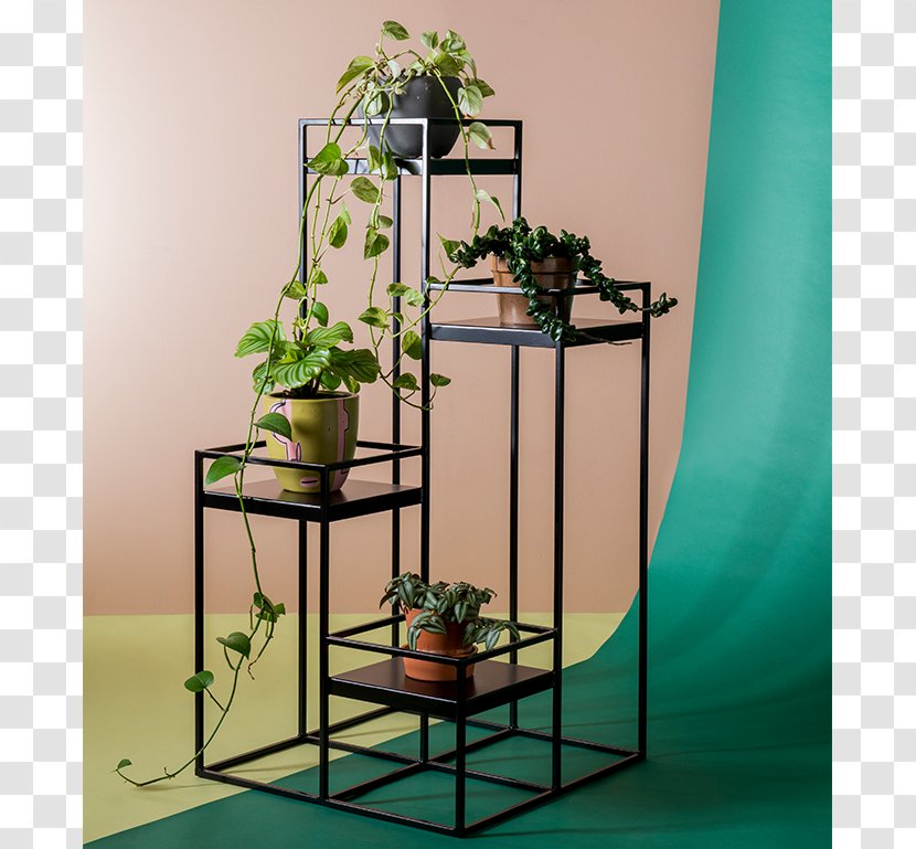 Shelf Houseplant Flowerpot Metal - Furniture - Plant Transparent PNG