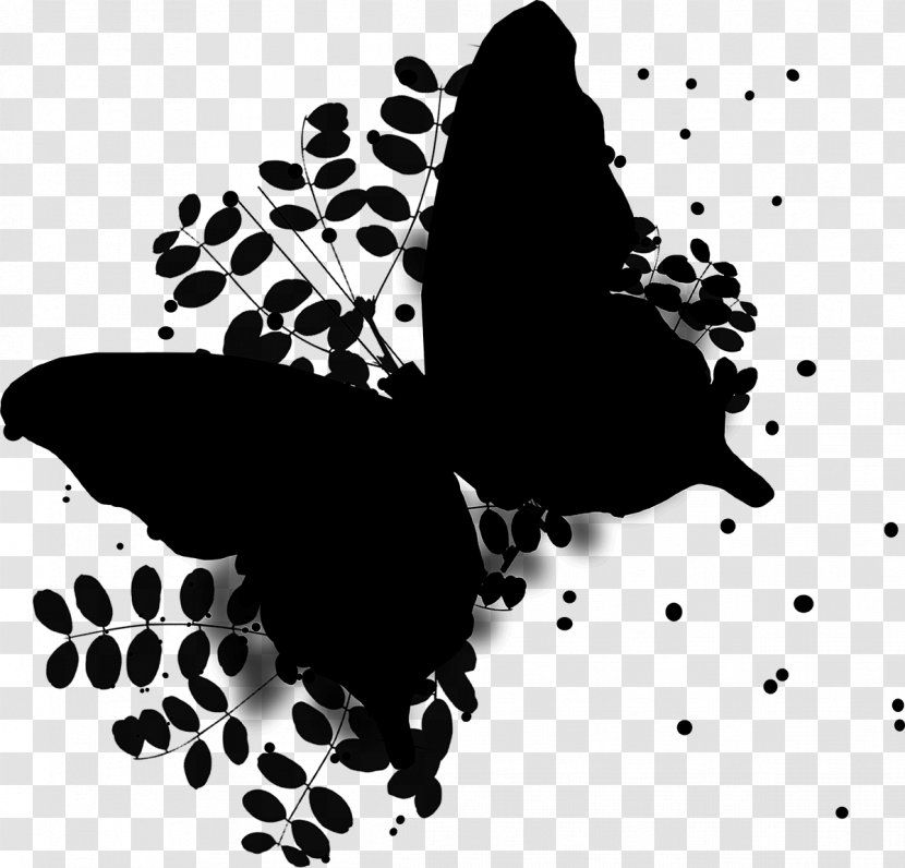Wing Organism Moths And Butterflies - Insect - Visual Arts Transparent PNG