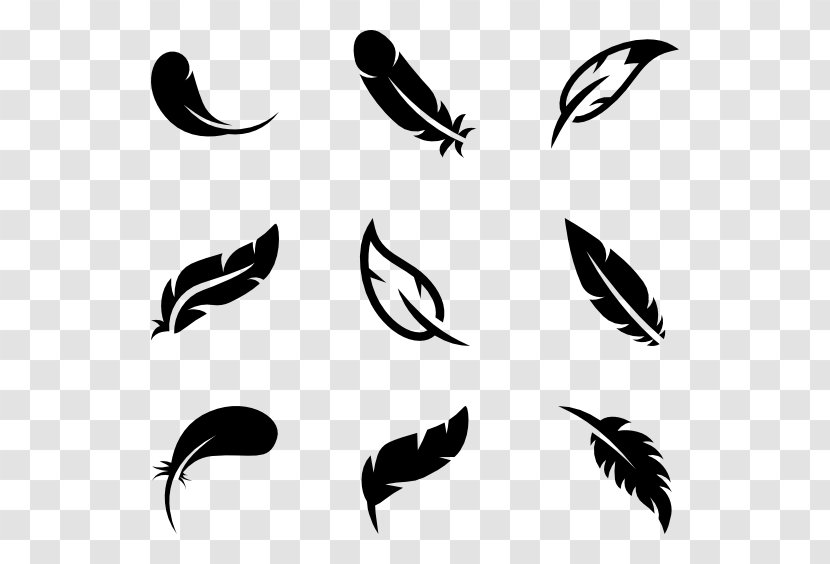 Bird Parrot Feather Wing - Black And White - Indian Arrow Transparent PNG