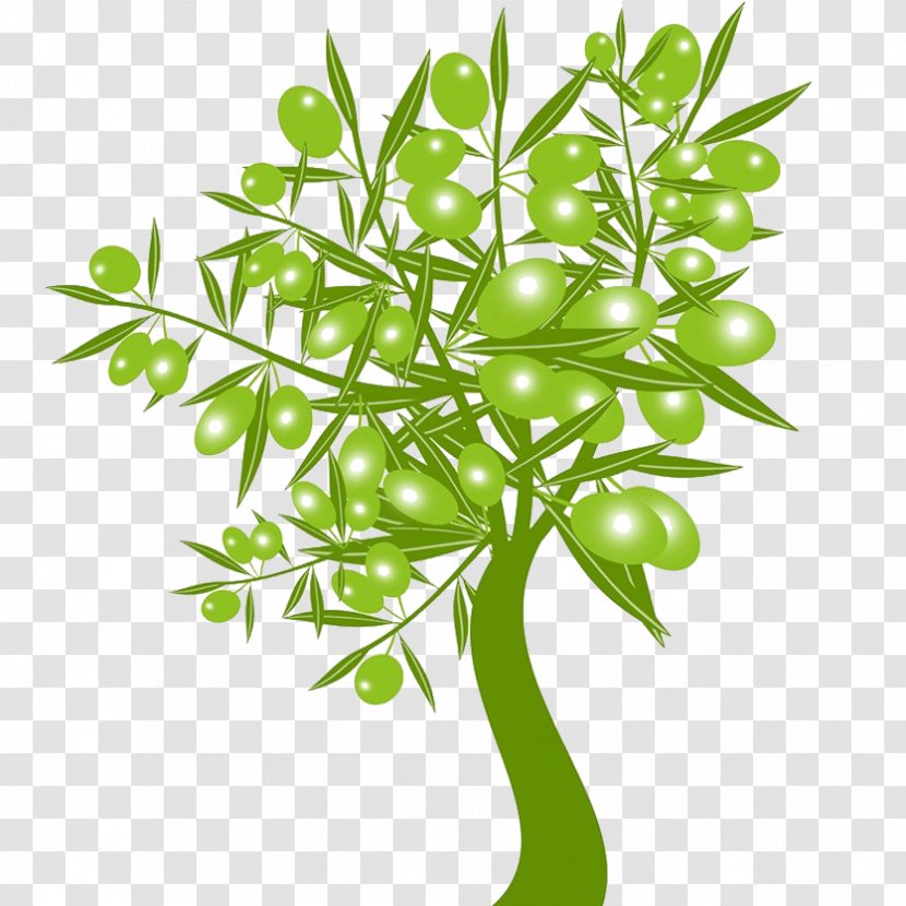 Olive Stock Photography Clip Art - Flower - Tree Download Transparent PNG