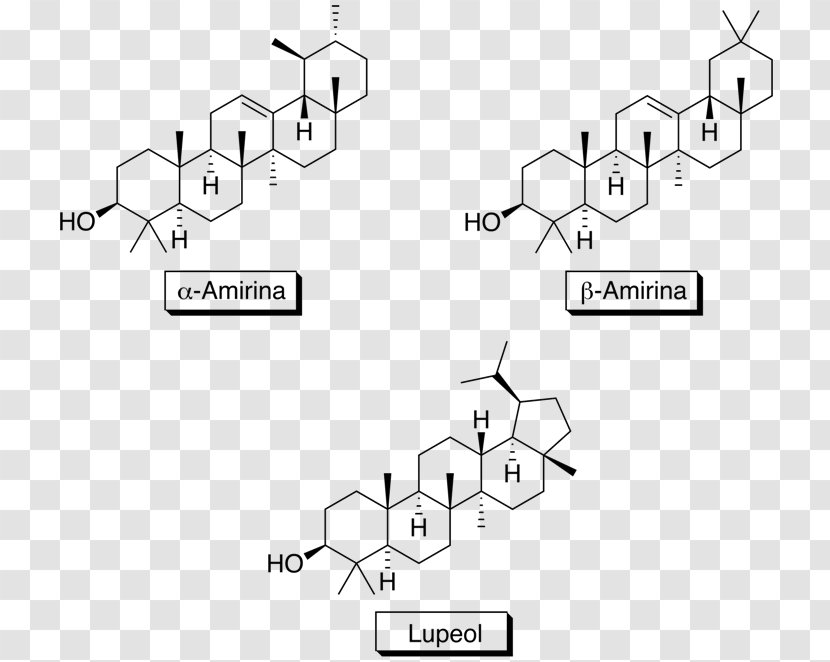 Saponina Triterpénica Triterpene Amyrin Molecule - Tree - Topografia Transparent PNG