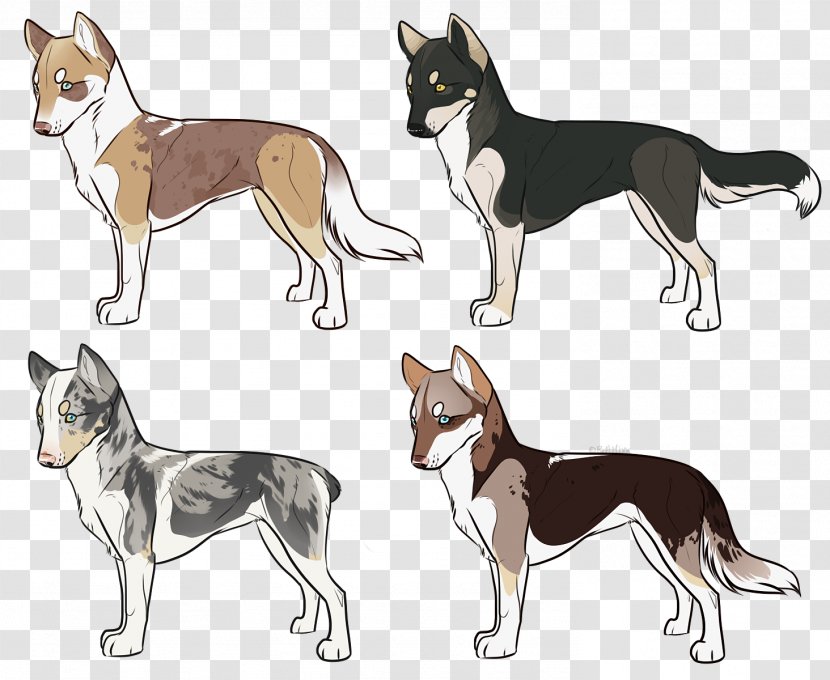 Dog Breed Norwegian Lundehund Norway Drawing /m/02csf - Customs Transparent PNG