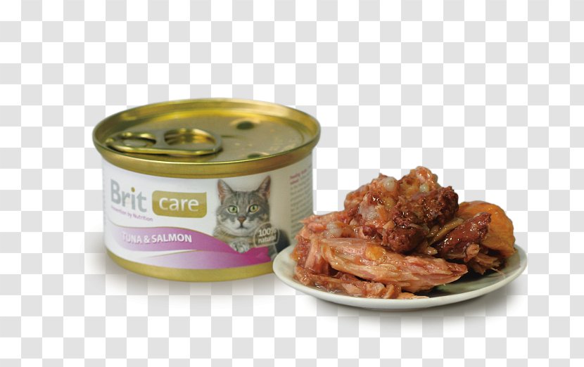 Cat Chicken As Food Thunnus Kitten - P%c3%a2t%c3%a9 Transparent PNG