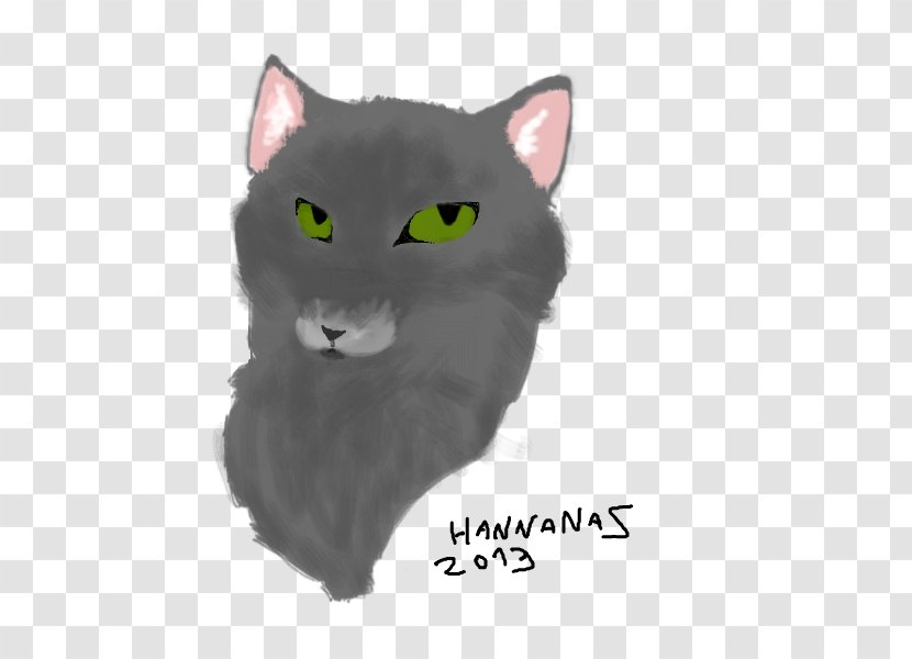 Whiskers Korat Nebelung Kitten Domestic Short-haired Cat - Muroidea Transparent PNG