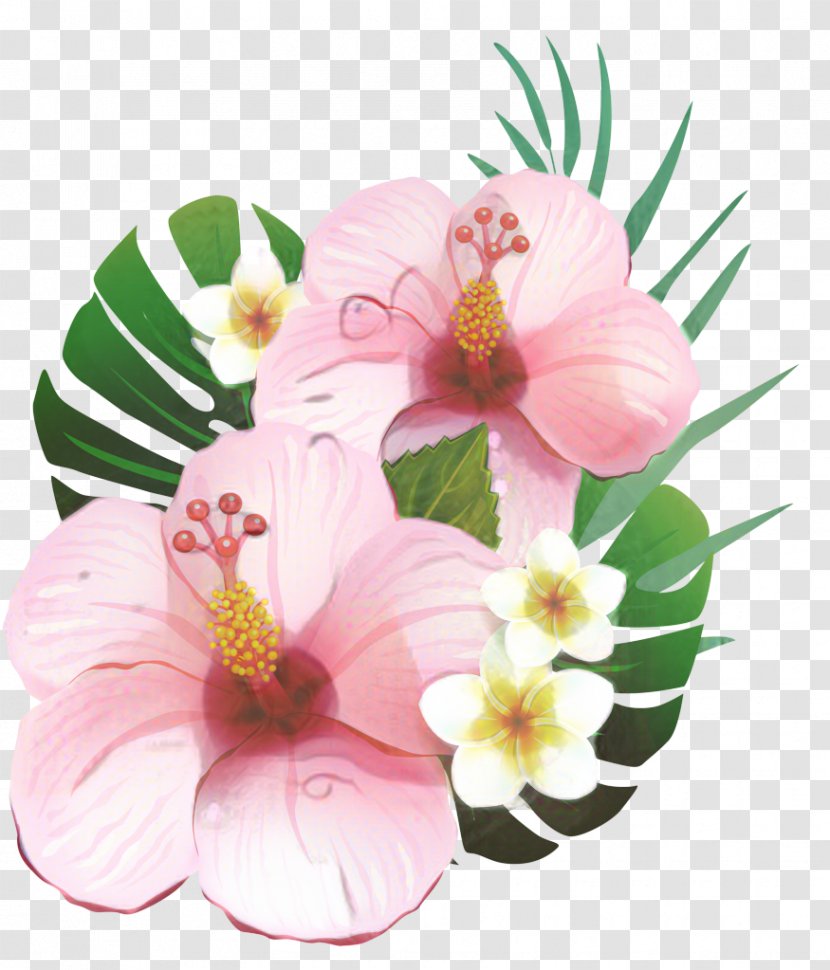 Drawing Of Family - Magnolia - Perennial Plant Transparent PNG