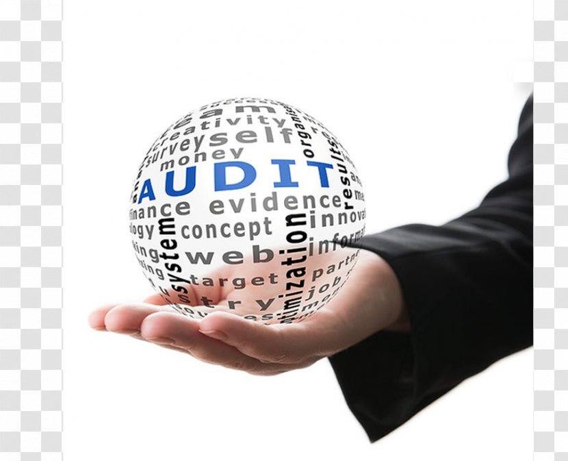 Audit And Assurance Services Internal Control - Service Transparent PNG