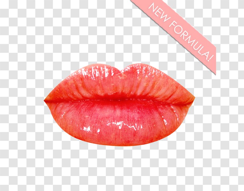 Lip Gloss Balm Lipstick MAC Cosmetics - Winky Lux Transparent PNG