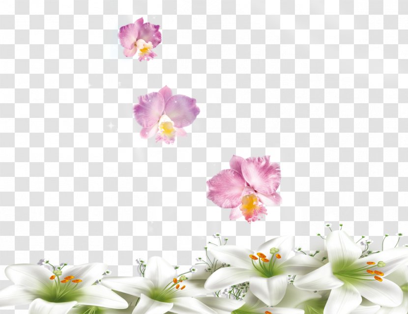 Floral Design Flower Lilium - Flora - White Lily Transparent PNG