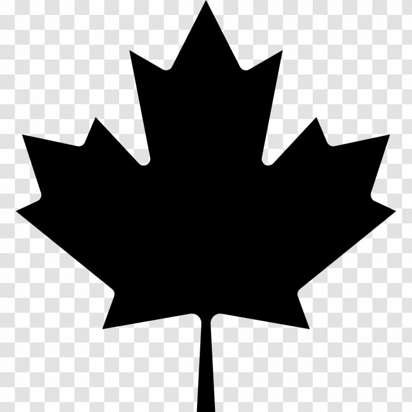 Maple Leaf - Tree - Symbol Transparent PNG
