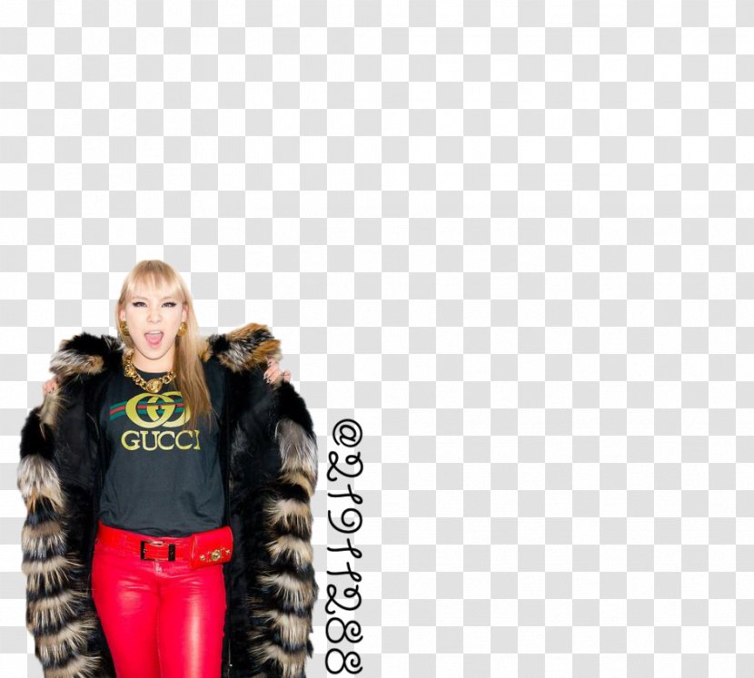 2NE1 Fur Clothing K-pop YG Entertainment - Tree - Cl Transparent PNG