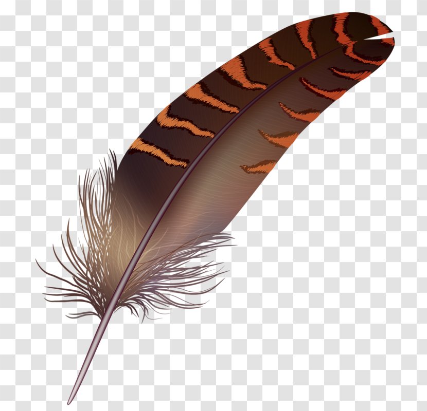 Bird Feather Quill Paint - Drawing - Hand-painted Feathers Transparent PNG