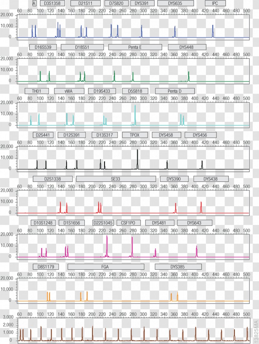 DNA Profiling Capillary Electrophoresis Violin Forensic Science - Cartoon - Analysis Machine Transparent PNG