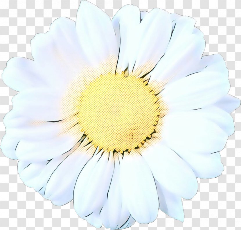 Transvaal Daisy Cut Flowers - Flowering Plant - Asterales Transparent PNG