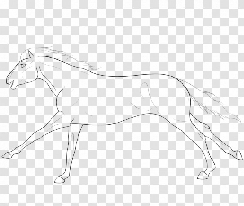 Mustang Mane Foal Stallion Pony - Mammal Transparent PNG