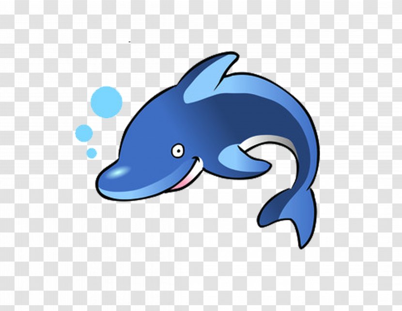 Dolphin Free Content Clip Art - Whales Dolphins And Porpoises - Cartoon Transparent PNG