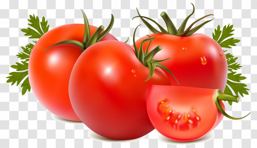 Tomato Soup Juice Vegetable Sauce - Potato And Genus Transparent PNG