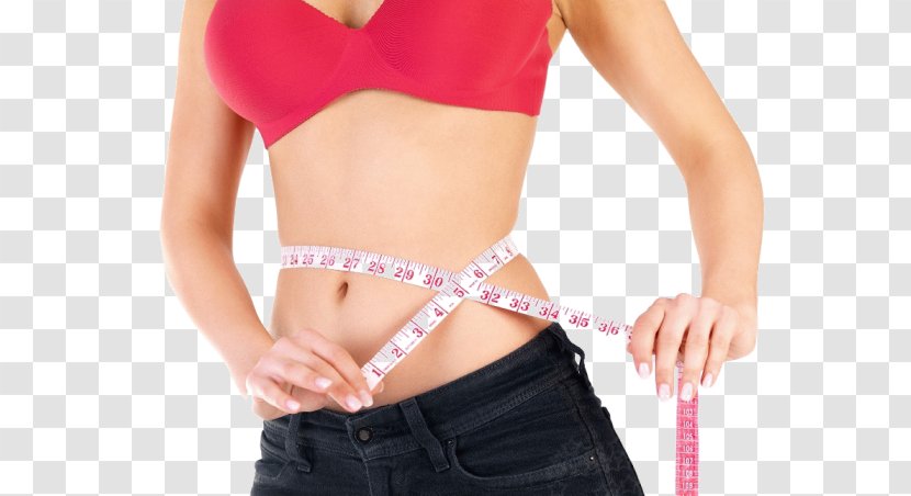 Weight Loss Adipose Tissue Management Gain Abdominal Obesity - Silhouette - Losing Transparent PNG