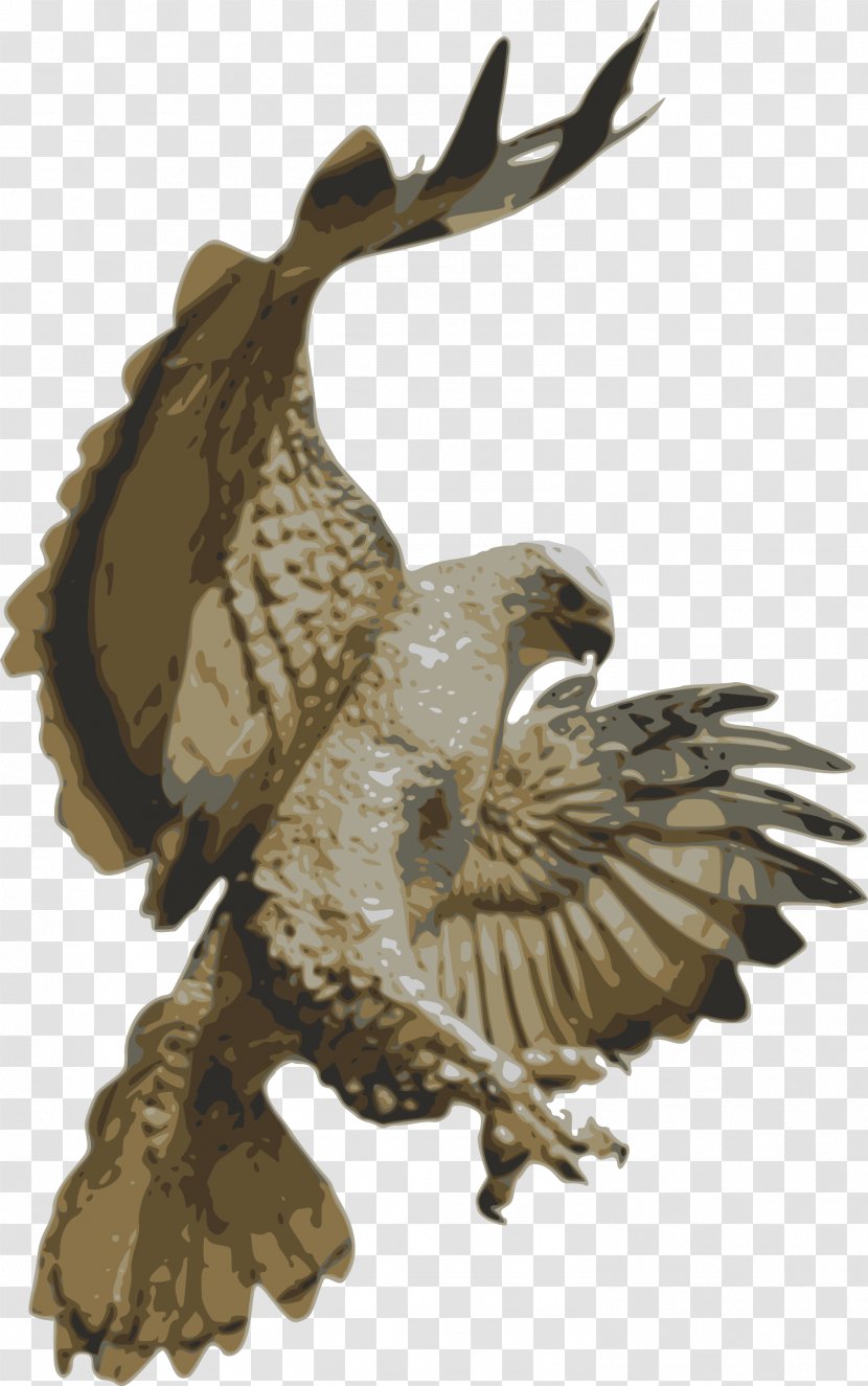 Bird Of Prey Hawk Clip Art - Fauna - Falcon Transparent PNG