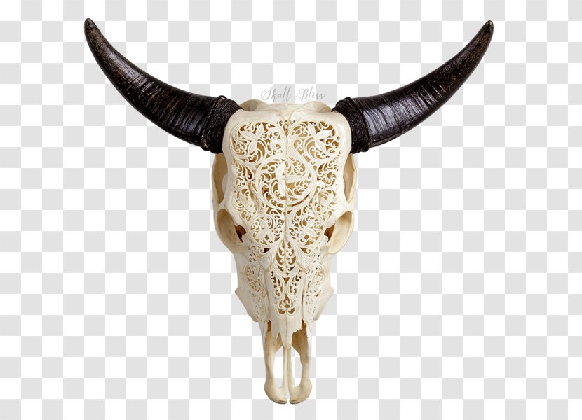 Cattle XL Horns Skull Wood Carving - Horn Transparent PNG