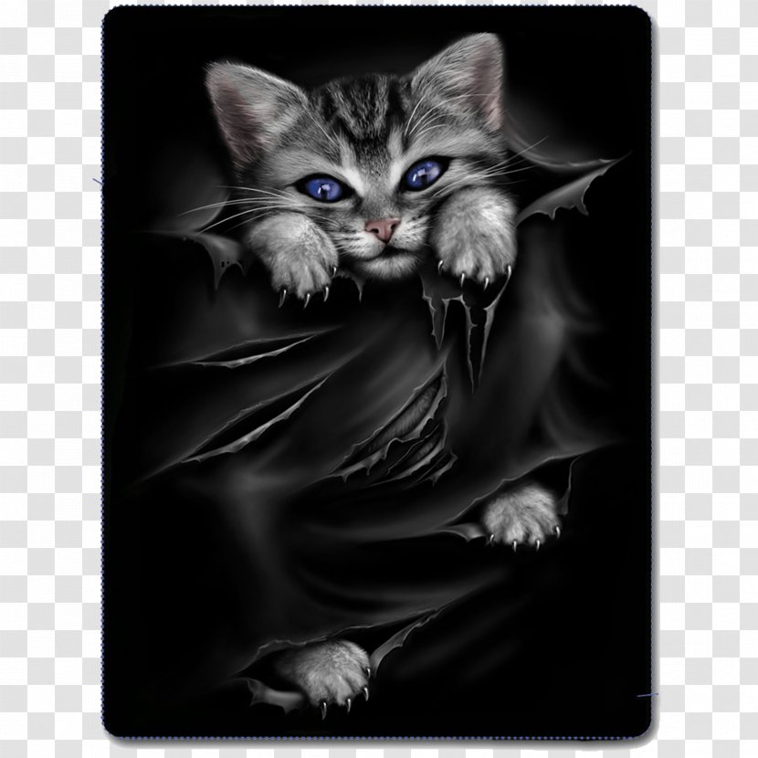 Cat Gothic Fashion Kitten T-shirt Clothing - Vertebrate Transparent PNG