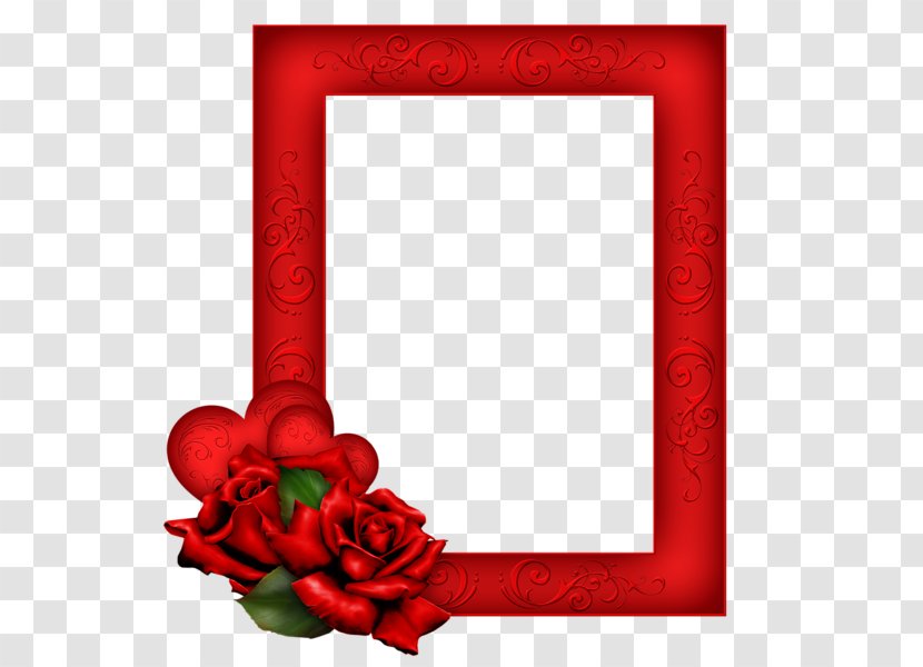 Picture Frames Red Clip Art - Heart - Rose Border Transparent PNG