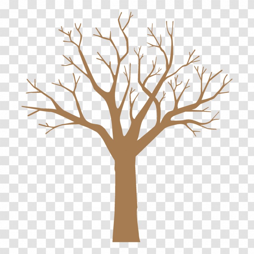 Plane - Woody Plant - Trunk Transparent PNG