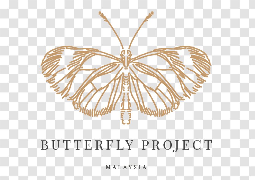 Butterfly Malaysian General Election, 2018 Project Food - Arthropod Transparent PNG
