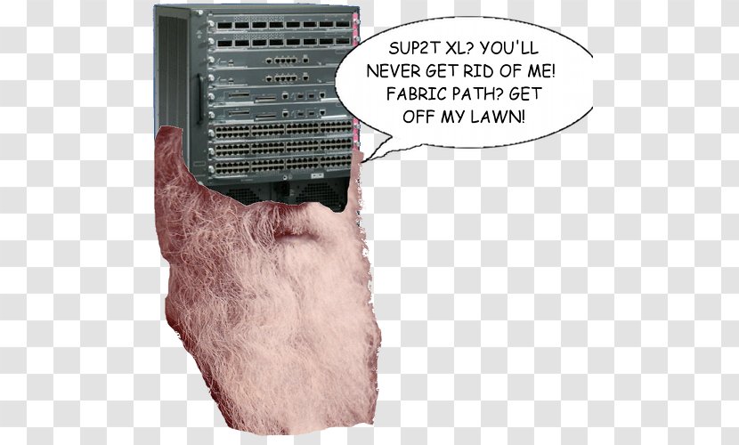 Catalyst 6500 Fur Cisco Systems Snout Font - Patman Transparent PNG