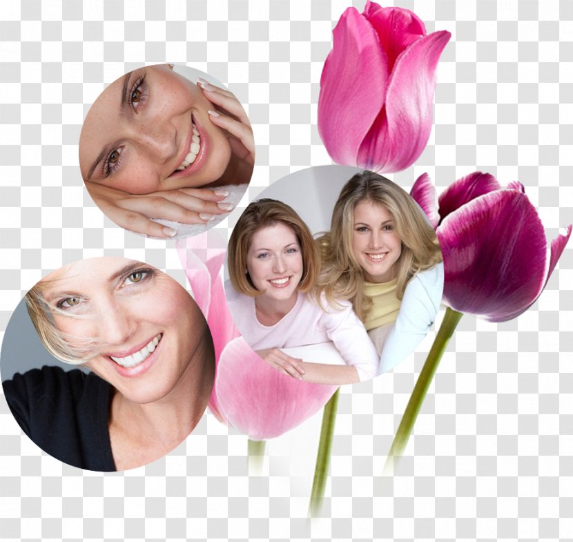 TULIP Dentistry カザグルマ - Smile - Tulip Transparent PNG