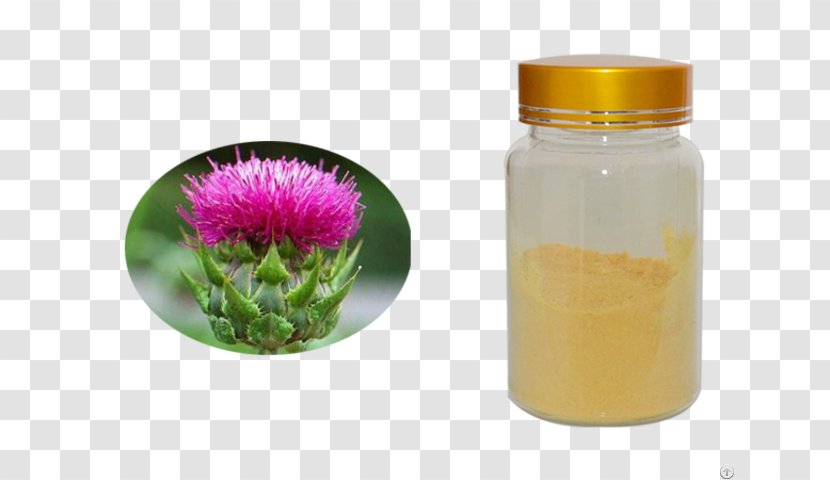Glass Bottle Flower Milk Thistle - Plant Transparent PNG