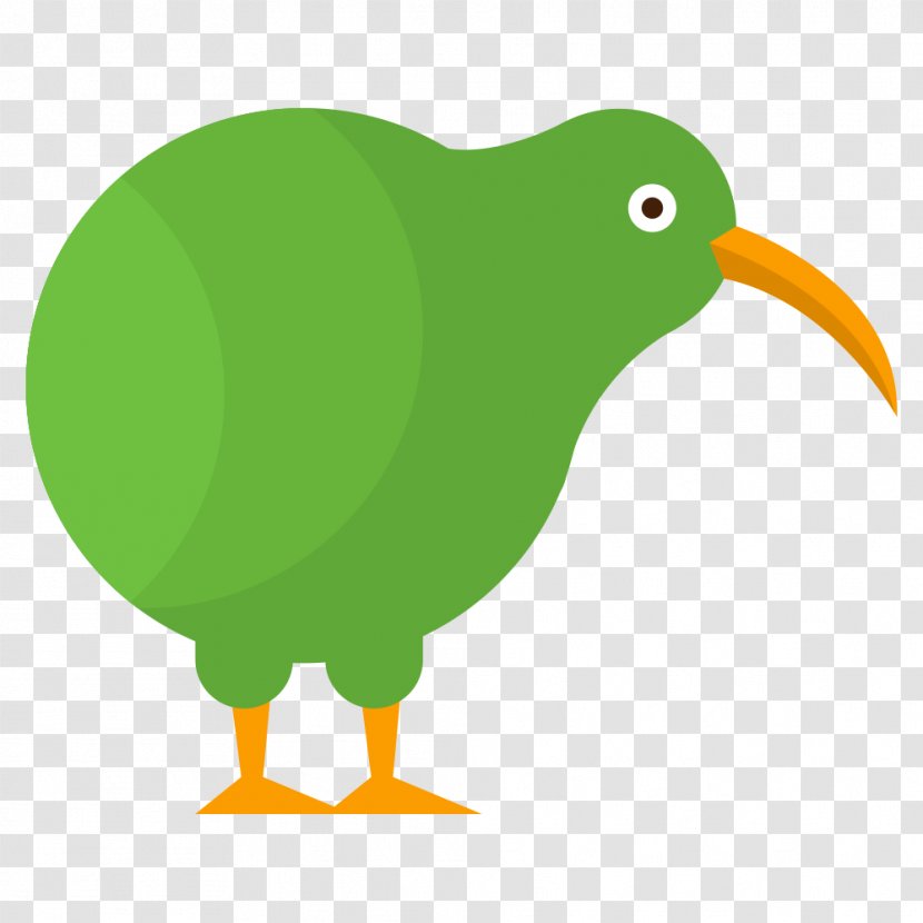Bird Definition Parrot Species - Kiwi Transparent PNG