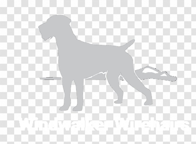 Dog Breed Puppy Sporting Group - Tail Transparent PNG