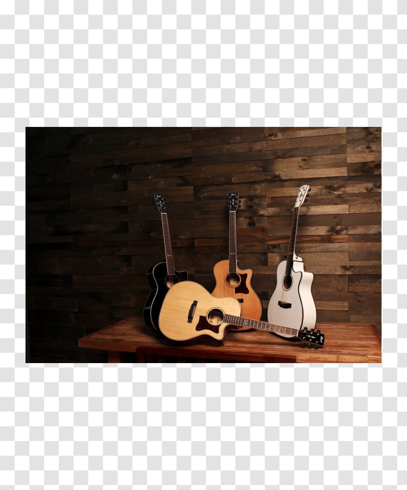 String Instruments Cort Guitars Office Den - Guitar Transparent PNG