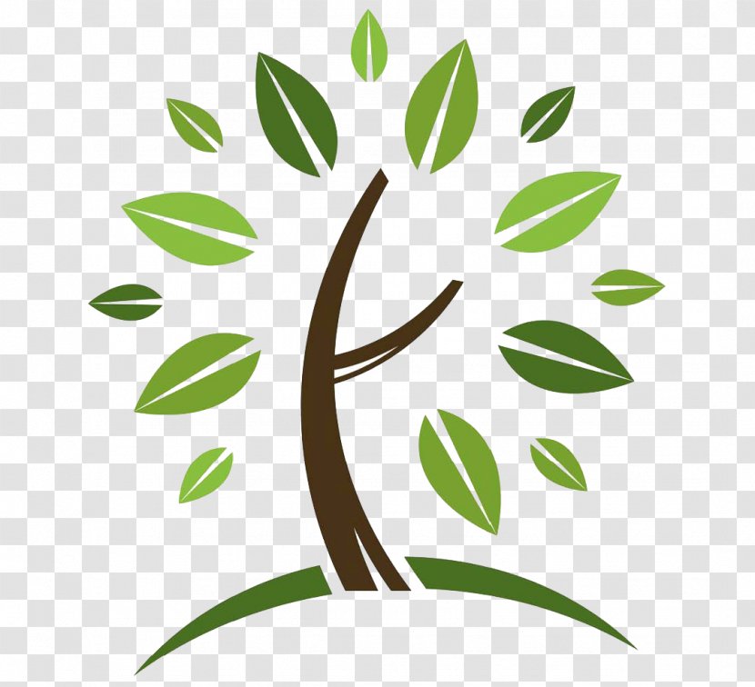 Tree Planting Arborist Logo Spectrum One - Tiff Transparent PNG