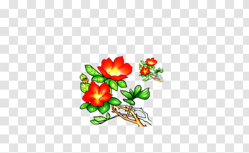 Pentax Pomegranate Floral Design - Floristry Transparent PNG