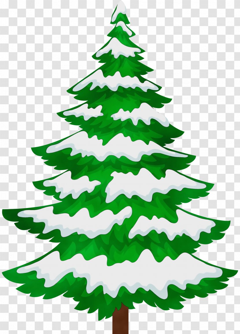 Christmas Black And White - Watercolor - Shortleaf Spruce Transparent PNG