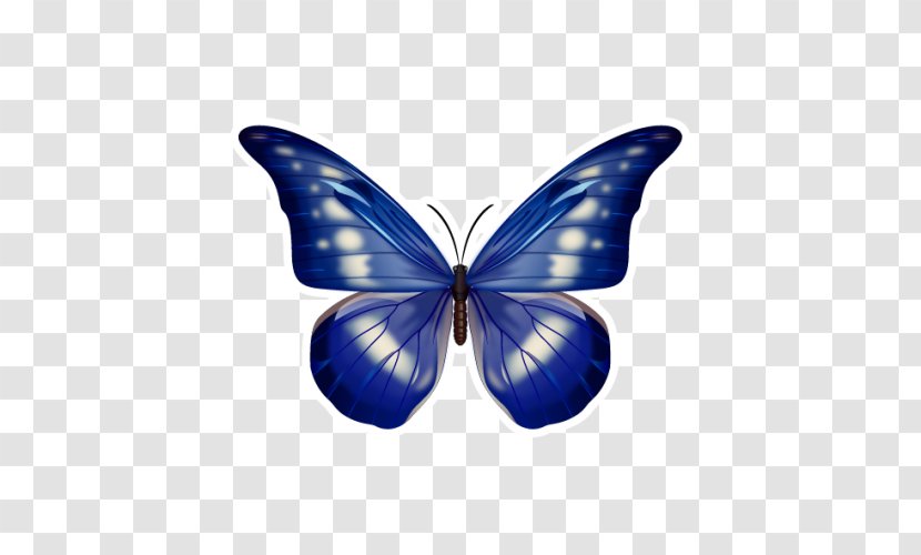Butterfly Blue Morpho Menelaus Helena Pattern - Arthropod Transparent PNG