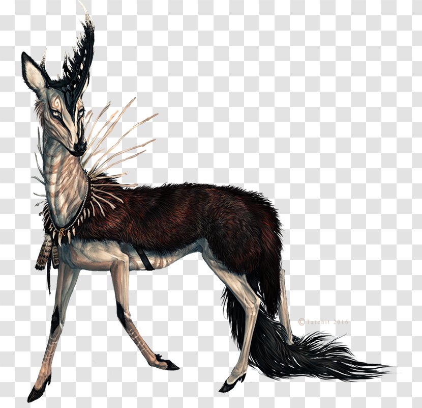 Canidae Musk Deers Horse Antelope - Carnivoran - Fur Transparent PNG