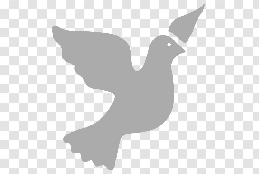 Columbidae Doves As Symbols Peace Clip Art - Christian Symbolism - Symbol Transparent PNG