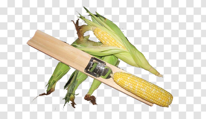 Corn On The Cob Sweet Commodity - Vegetarian Food Transparent PNG